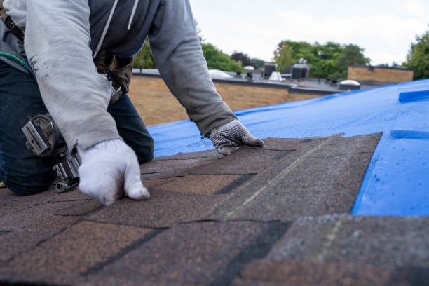 Roof Gutter Cleaning in Hermitage, PA